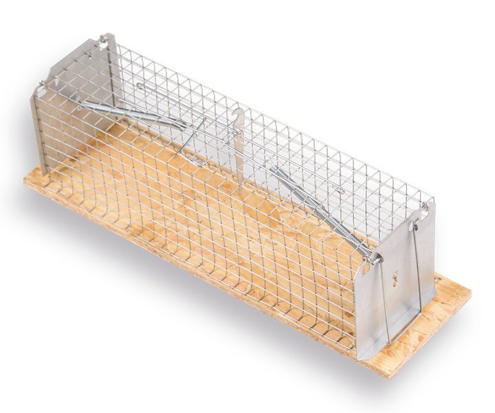 Rattenval LUNA tunnelmodel 35cm, hout
